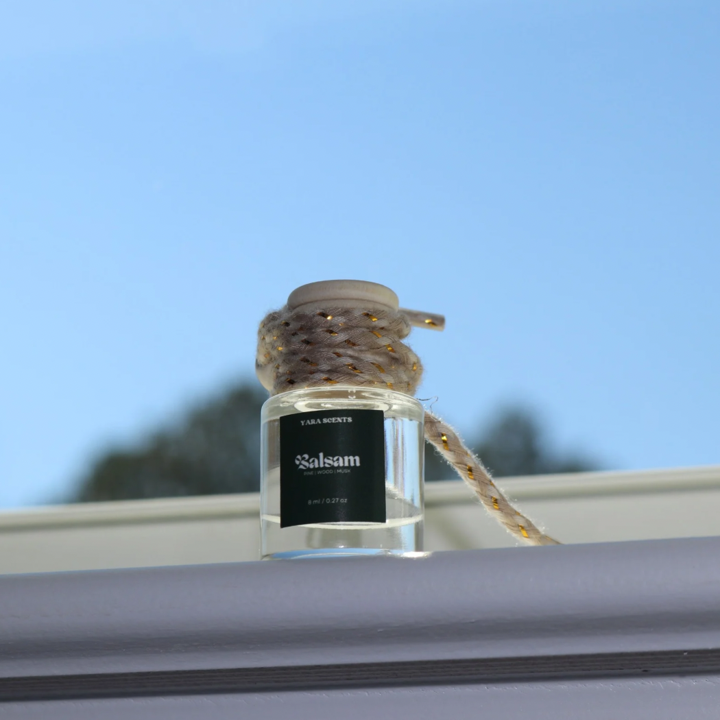 WINTER CAR DIFFUSERS