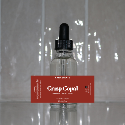 Car Diffuser Refill | WINTER COLLECTION | Vehicle Air Fresheners 