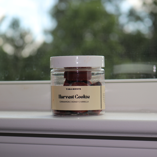 PUMPKIN with MINI HEARTS | Soy Wax Melts | FALL COLLECTION
